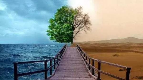 img of Antara Riuh dan Sunyi